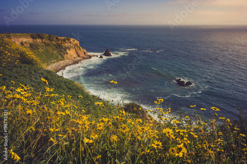 Rancho Palos Verdes Super Bloom photo