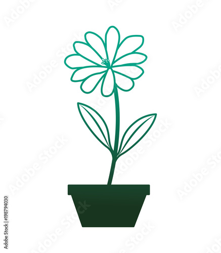 flower daisy in a pot decoration icon