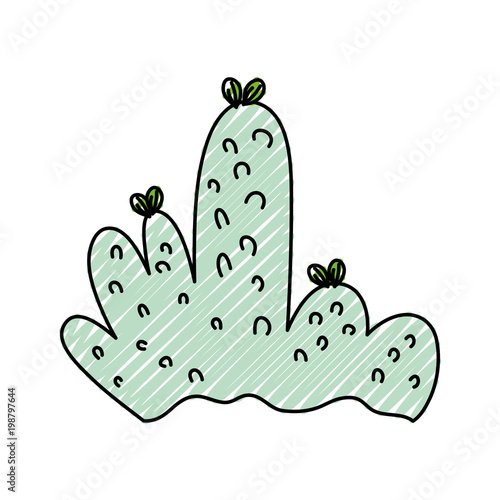 doodle nature bush plant with leaves design