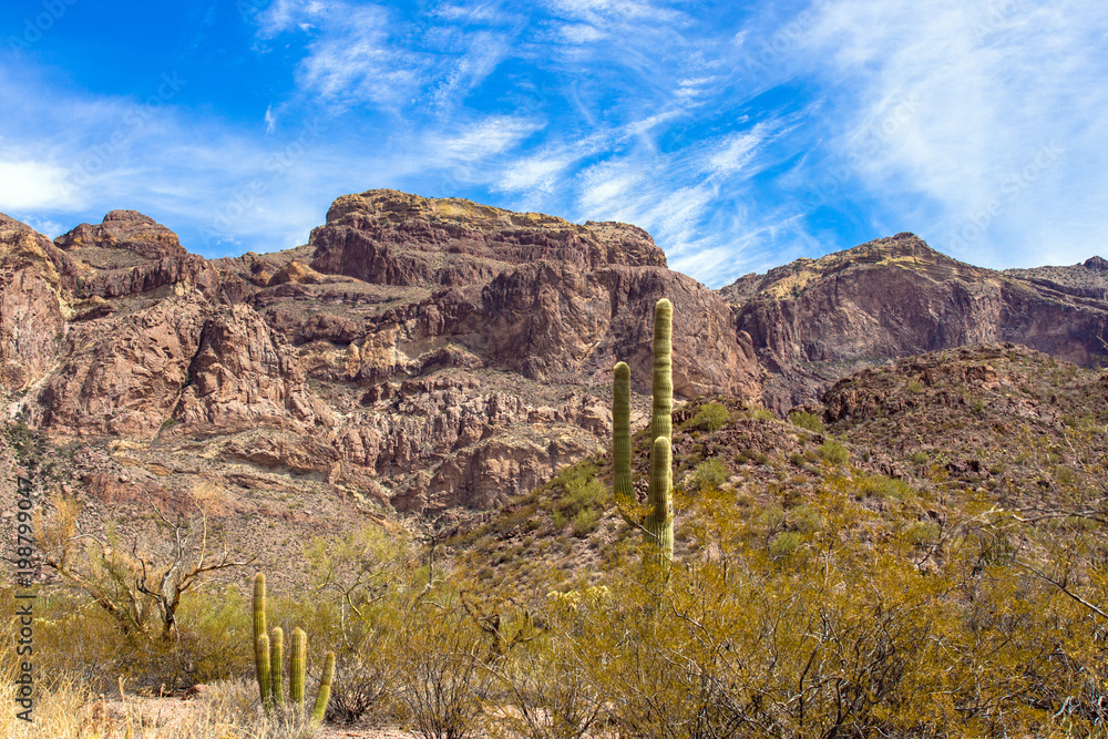 Rugged landscape of the Ajo Mountains in Organ Pipe Cactus National Monument in southern Arizona, as seen from Ajo Mountain Drive