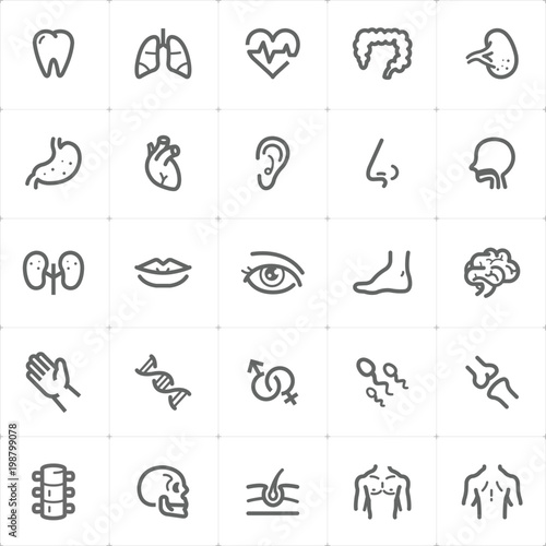 Mini Icon set – Human Anatomy icon vector illustration