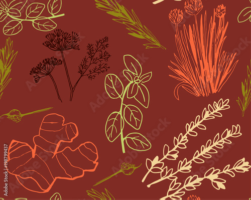 Herbs and medicinal plants seamless pattern