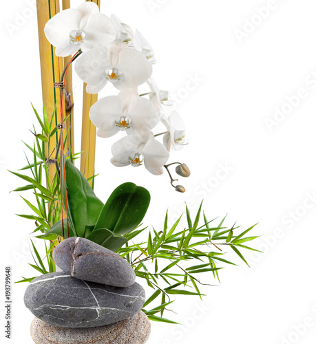 Fototapeta Naklejka Na Ścianę i Meble -  bambou, orchidée blanche et galets