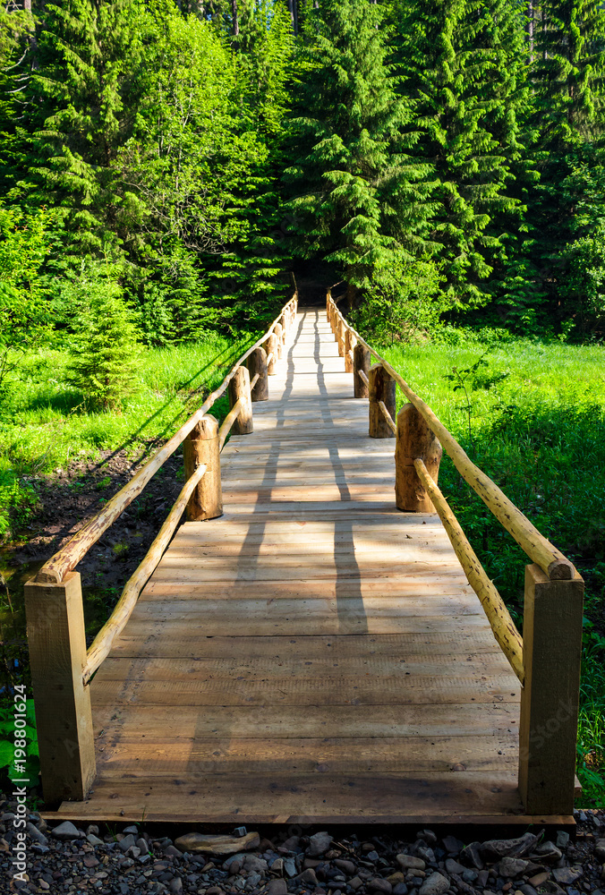 small wooden bridge among the forest
