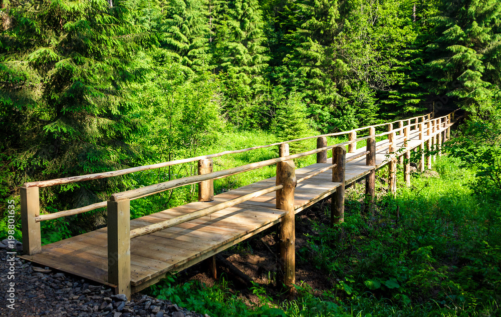 Fototapeta premium small wooden bridge among the forest