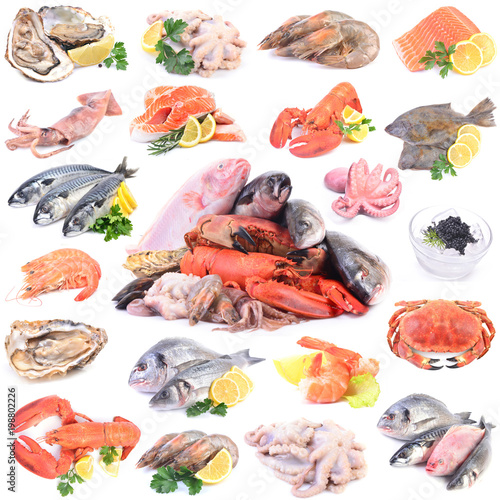 A collection of seafood for every taste