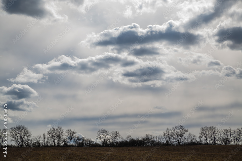 Obraz premium Landschaft im Frühling