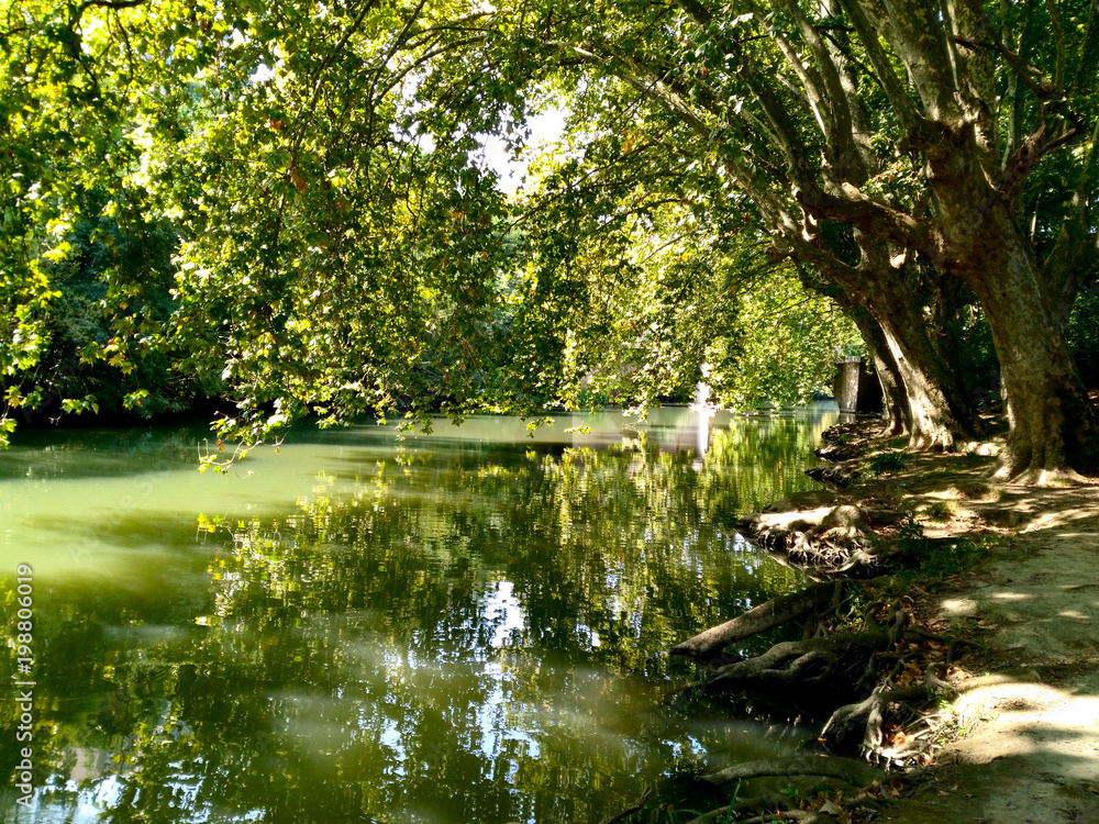 river bank with high overhanging trees in the sunlight River Arga, in Pamplona, Navarre, Basque Country, Spain river bank with high overhanging trees in the sunlight River Arga, in Pamplona, Navarre, Basque Country, Spain
