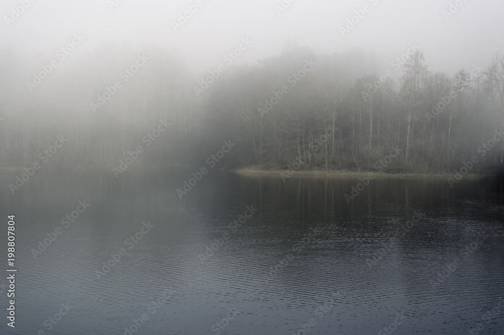 Fog on lake