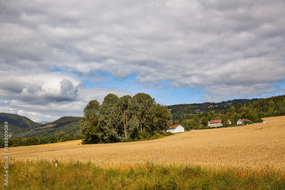 Fototapeta premium Landscape in Norway