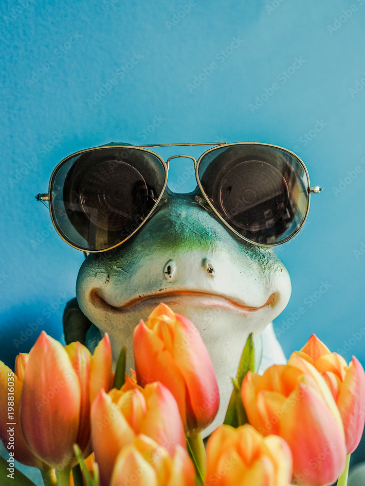 cool frog with sunglasses holding a bunch of flowers and looks like the  hidden dream prince Stock Photo | Adobe Stock