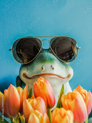 Frog with sunglasses shop