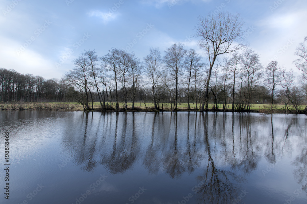 Dutch pond with tree reflections