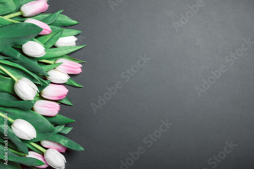 still life spring gentle white and pink tulips
