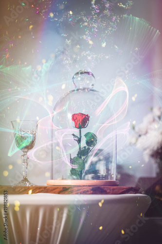 Bild auf Leinwand A enchanted rose in the glass covering.