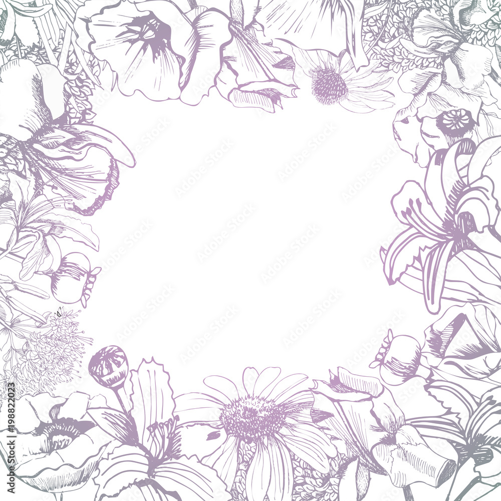 Frame  with hand drawn graphic and gradient  sketch with summer flowers for flower garden. Papaver, echinacea, iris, ajuga, sedum, eupatorium. Vector illustration.
