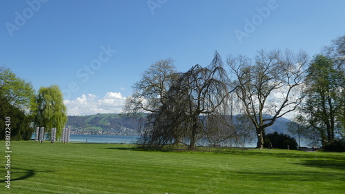 Εκτύπωση καμβά Springtime in Switzerland - Zuggersee Cham Villette park