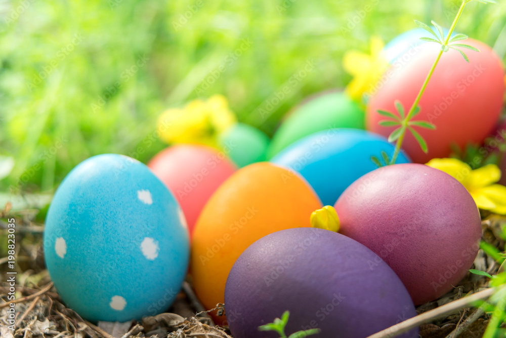 Easter sunday, happy easter, colorful easter eggs hunt holiday decorations easter concept backgrounds with copy space Easter sunday, happy easter, colorful easter eggs hunt holiday decorations easter concept backgrounds with copy space