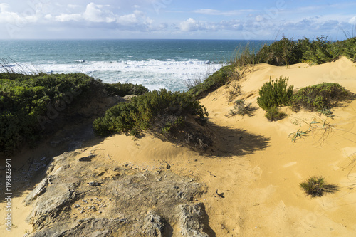 Felsküste am Atlantik im Parque Natural do Sudoeste Alentejano e Costa Vicentina, Algarve, Portugal, Europa
