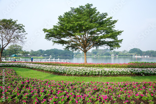 Wallpaper Mural Decorate the landscape in harmony with nature in the park. Torontodigital.ca