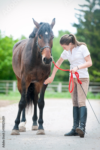 Teenage equestrian girl checking for injury of chestnut horse leg