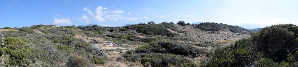 Cyprus wild nature