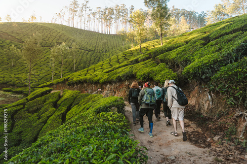 Billede på lærred International Group of travelers with backpacks going by trail through tea plant