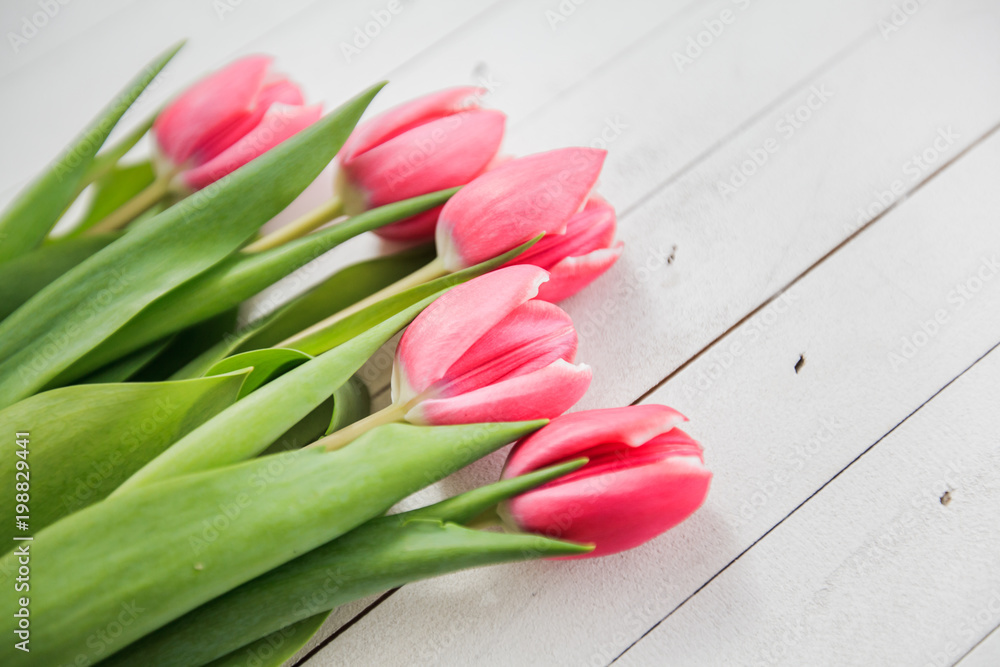 Spring Love Romance Tulip Spring Love Romance Tulip