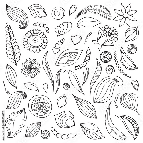 Set of floral elements. The  magic drawn  flowers and plants for decoration