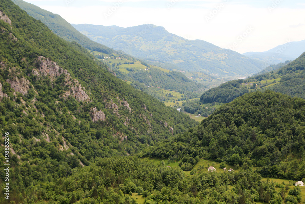 Biogradska gora, National Park, Montenegro 