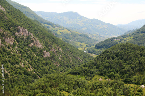 Biogradska gora, National Park, Montenegro 