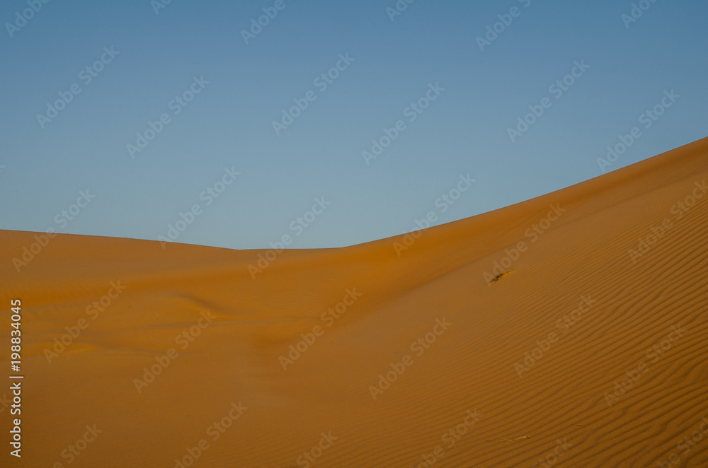Sand dunes with wind pattern in Wahiba sands desert in evening light