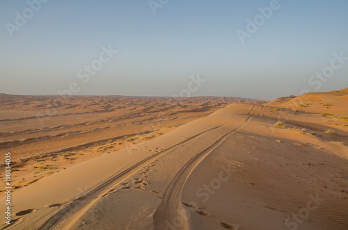 Tyre tracks in sand in evening sunlight in Wahiba Sands desert in Oman