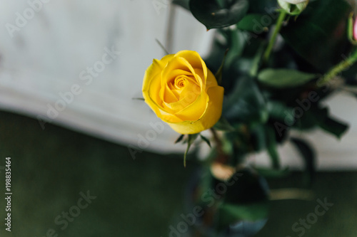 Detail of Bouquet of yellow rose, on white wooden furniture