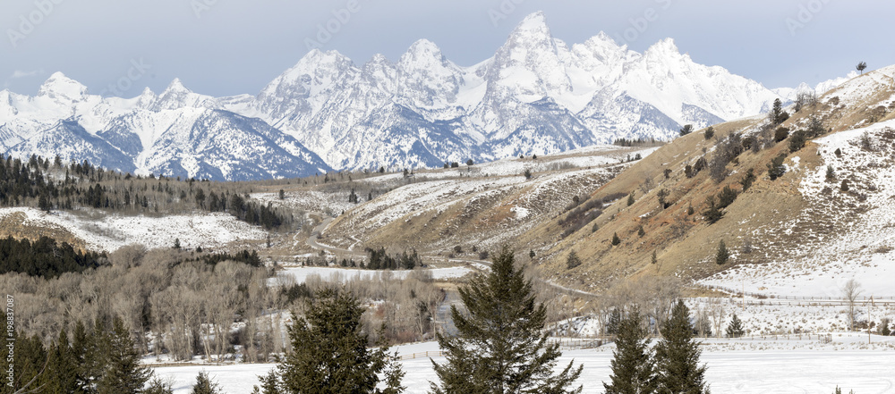 teton mountain range behind forests, foothills, and fields