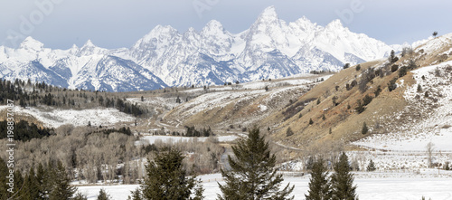 teton mountain range behind forests, foothills, and fields