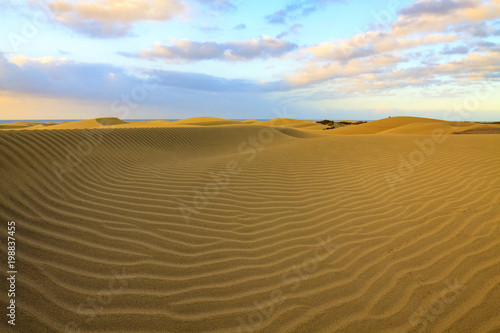Rippled and smooth sand of dunes of Maspalomas in Gran Canaria. © cegli
