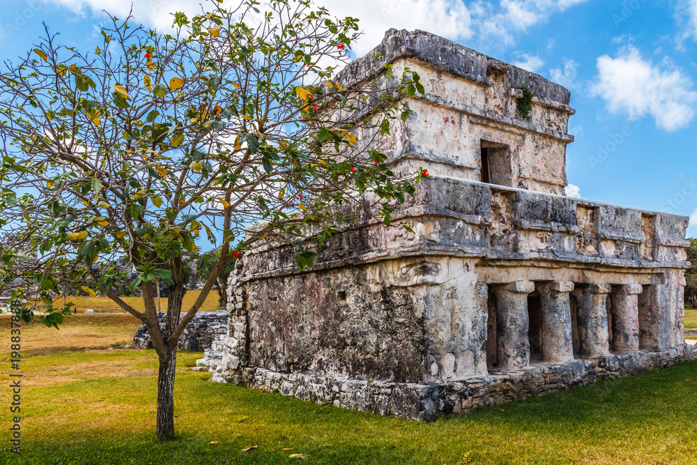 Naklejka premium Old ruined ancient Mayan house with tree in the front, Tulum, Yucatan peninsula, Mexico