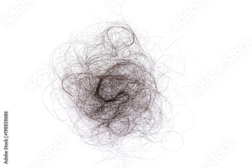 Hair loss, hair fall everyday serious problem, on white background.