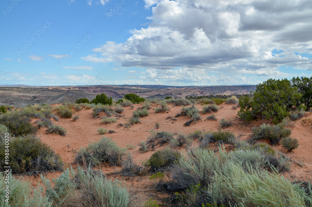 Salt Valley and surrounding mountains view from Panorama Point Arches National Park, Moab, Utah Salt Valley and surrounding mountains view from Panorama Point Arches National Park, Moab, Utah