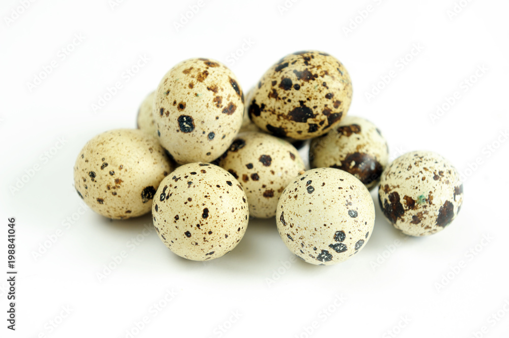 quail eggs on a white background