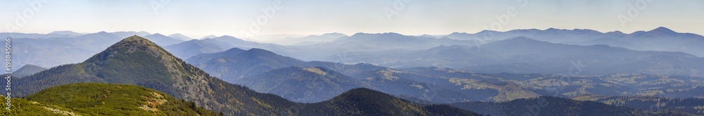 Wide panorama of green mountain hills in sunny clear weather. Carpathian mountains landscape in summer. View of rocky peaks covered with green pine trees. Beauty of nature.