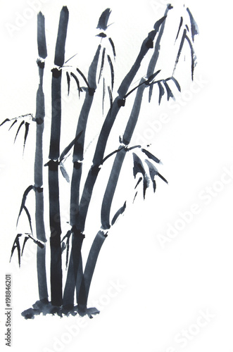 Black bamboo on white background  watercolor painting