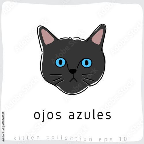 Cat breed collection : Vector Illustration