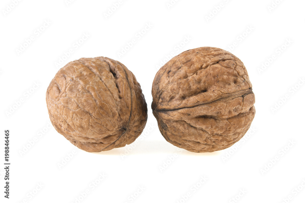 two walnuts on a white background two walnuts on a white background