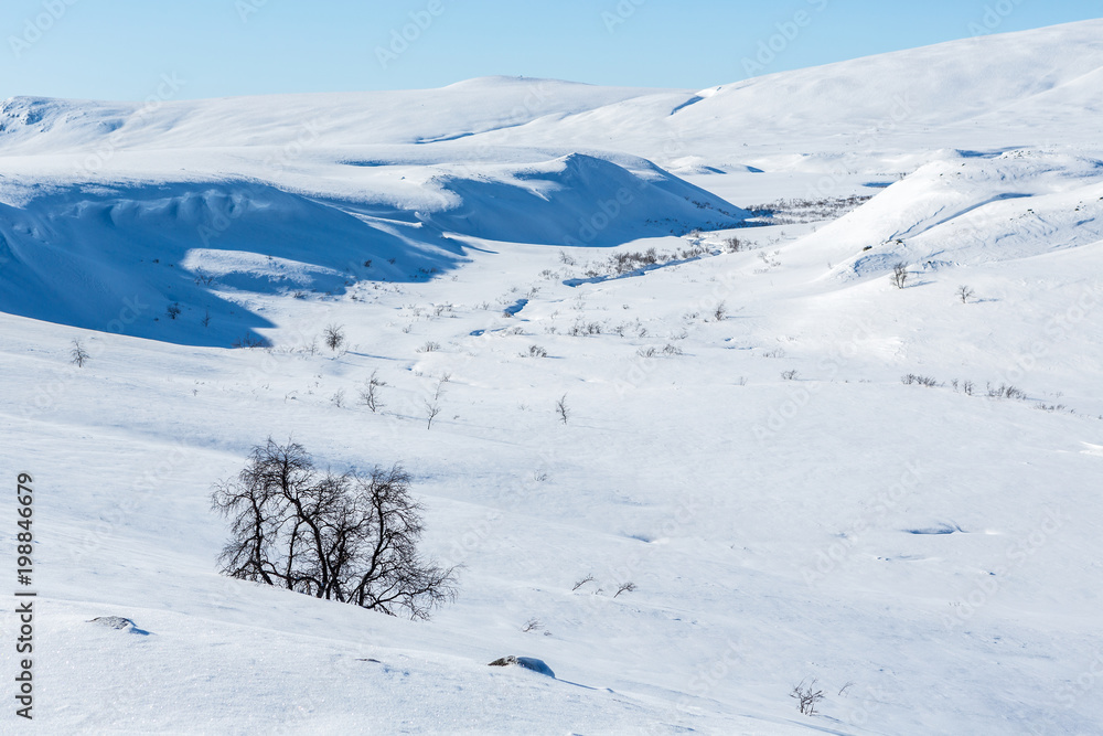 Naturlandschaft auf dem Kungsleden im Winter in Schweden