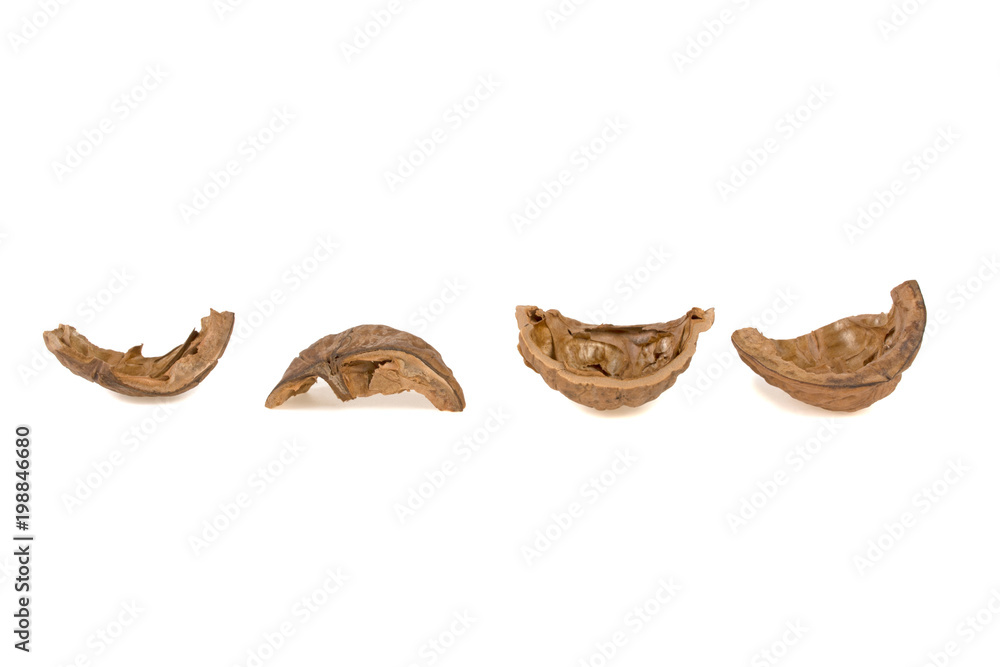 Obraz premium walnut shell isolated on white background
