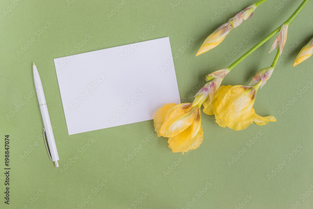 Fototapeta premium Mockup white greeting card with iris flower