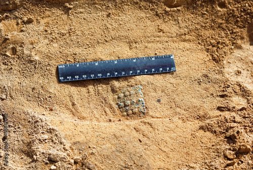 Obraz na płótnie A bronze plate with ornaments. The archaeological find of the Kulayi culture, Siberia w salonie