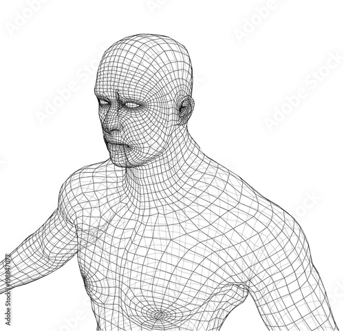 Wire frame athlete body on white background